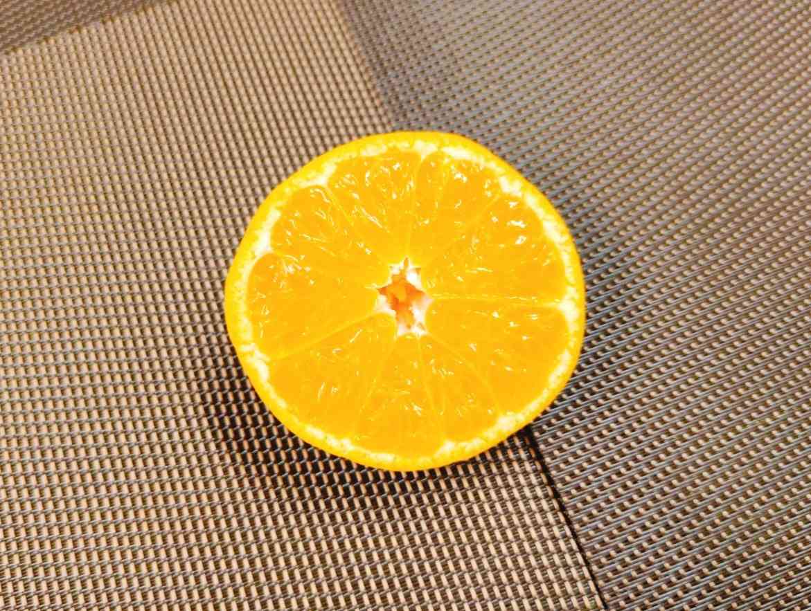 25-12-15-12-19-04-732_photo~2