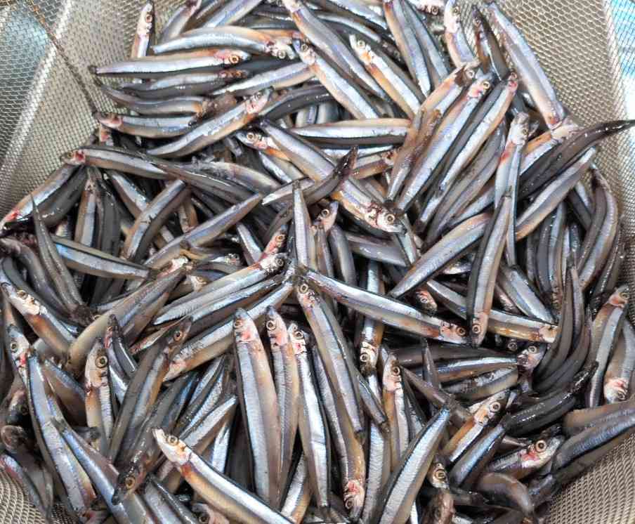 26-04-17-10-40-48-087_photo~2