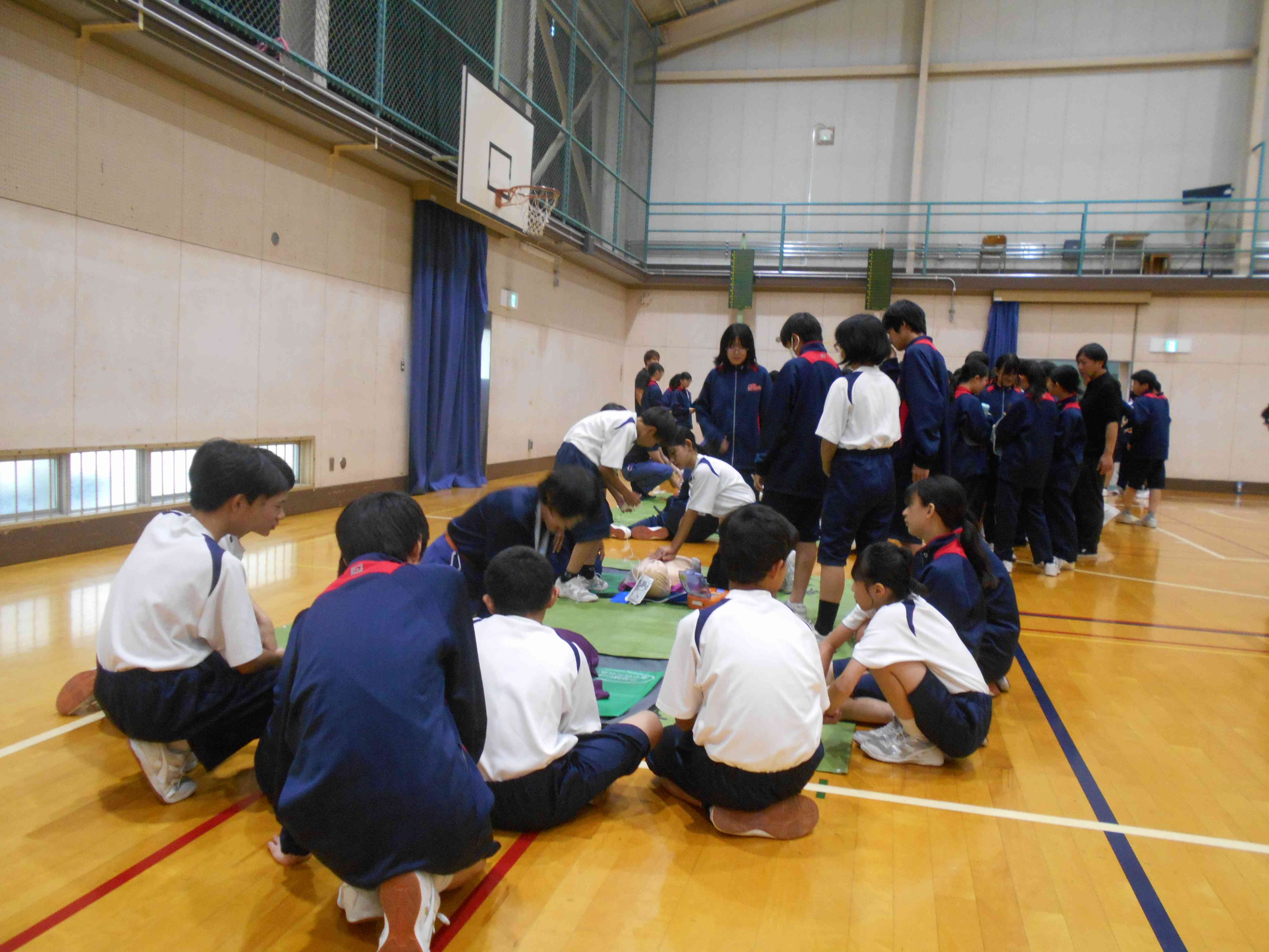 DSCN8117