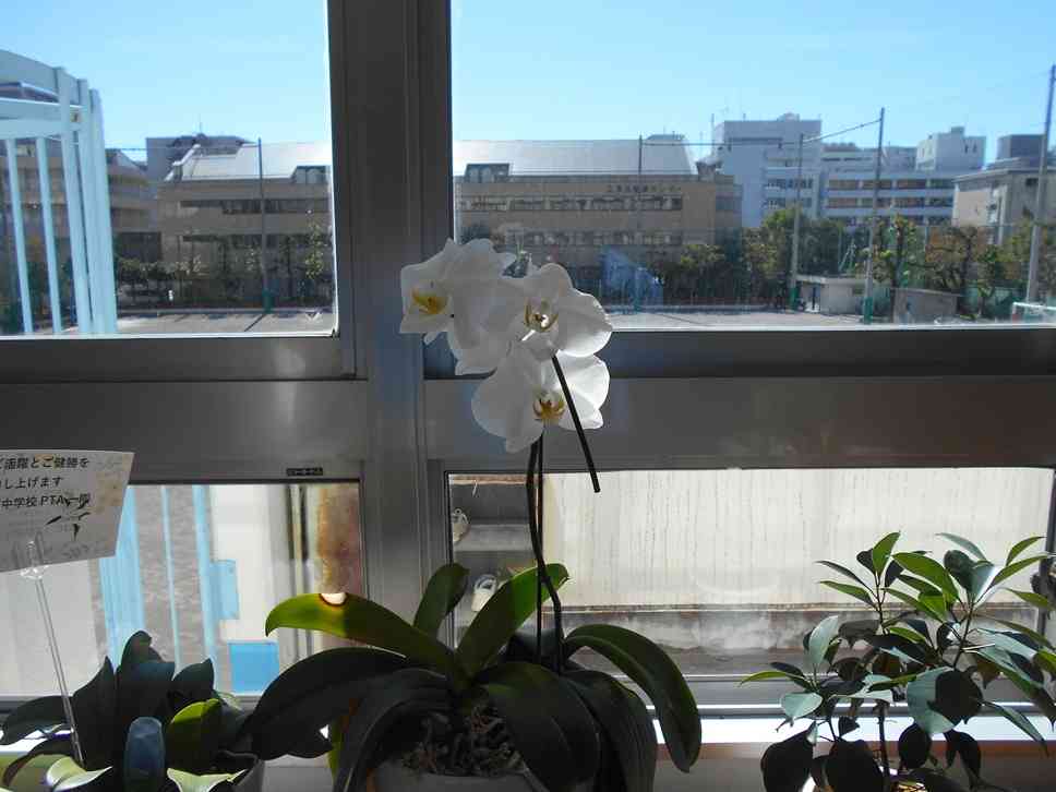 DSCN0273
